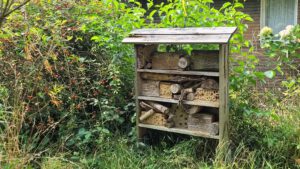 Das Insektenhotel im Schrebergarten